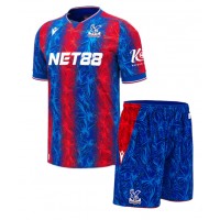 Camiseta Crystal Palace Adam Wharton #20 Primera Equipación Replica 2024-25 para niños mangas cortas (+ Pantalones cortos)